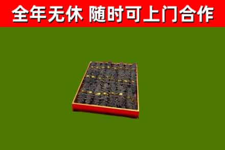 槐荫区回收海参